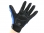 images/v/201210/13506147075_gloves (5).jpg